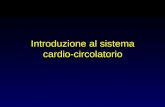 Introduzione al sistema cardio-circolatorio. Contenuto della lezione:  Perchè avere un sistema circolatorio?  Che cosa fa il sistema circolatorio?