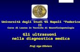 Università degli Studi di Napoli “Federico II” Corso di Laurea in Tecniche di Neurofisiopatologia Gli ultrasuoni nella diagnostica medica Prof. Ugo Oliviero.