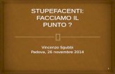 Vincenzo Sgubbi Padova, 26 novembre 2014 1 STUPEFACENTI: FACCIAMO IL PUNTO ?