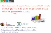 Paola D’Andrea - Ufficio Statistica della Provincia di Pesaro e Urbino Roma, 18 Dicembre 2014 Gli indicatori specifici: i risultati dello studio pilota.