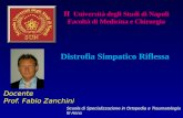 Docente Prof. Fabio Zanchini II Università degli Studi di Napoli Facoltà di Medicina e Chirurgia Distrofia Simpatico Riflessa Scuola di Specializzazione.