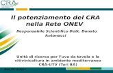 Il potenziamento del CRA nella Rete ONEV Responsabile Scientifico Dott. Donato Antonacci Unità di ricerca per l’uva da tavola e la vitivinicoltura in ambiente.