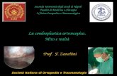 Dott. Fabio Zanchini -  La condroplastica artroscopica. Mito e realtà - Seconda Università degli Studi di Napoli