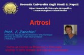 Artrosi - Prof. F. Zanchini - Professore Aggregato di Ortopedia - Corso di Laurea in Medicina e Chirurgia - Lezione V anno Malattie dell’Apparato Locomotore