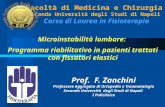 Prof. F. Zanchini - Microinstabilità lombare: Programma riabilitativo - Facoltà di Medicina e Chirurgia  Corso di Laurea in Fisioterapia