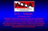 G.T. – Trieste Fondata nel 1996 Costruisce attrezzature tecniche per uso subacqueo, anfibio, rescue e sistemi di protezione individuale Lavora conto terzi.
