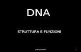 DNA STRUTTURA E FUNZIONI prof. eugenio favia1. Scoperta degli acidi nucleici La lunga storia del DNA comincia nel lontano 1869 con lo svizzero Johann.
