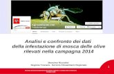 1 Analisi e confronto dei dati della infestazione di mosca delle olive rilevati nella campagna 2014 Massimo Ricciolini Regione Toscana - Servizio Fitosanitario.