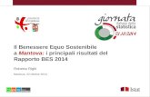 Il Benessere Equo Sostenibile a Mantova: i principali risultati del Rapporto BES 2014 Roberta Righi Mantova, 22 ottobre 2014.