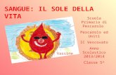SANGUE: IL SOLE DELLA VITA Scuola Primaria di Pescarolo Pescarolo ed Uniti IC Vescovato Anno Scolastico 2013/2014 Classe 5^ Yassine.