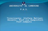 UNIVERSITA’ di CAMERINO P.A.S. Tirocinante: Stefano Melloni Docenti: Prof.ssa Rampichini Prof.Zamputi.