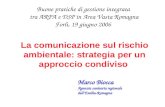 La comunicazione sul rischio ambientale: strategia per un approccio condiviso Buone pratiche di gestione integrata tra ARPA e DSP in Area Vasta Romagna.