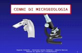 Regione Piemonte – Direzione Sanità Pubblica – Alberto Mancuso Manuale di igiene per l’alimentarista 1 CENNI DI MICROBIOLOGIA.