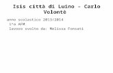Isis città di Luino – Carlo Volontè anno scolastico 2013/2014 1^a AFM lavoro svolto da: Melissa Fonsati.