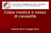 Colpa medica e nesso di causalità lezione del 27 maggio 2014.