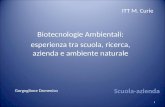 1 Scuola-azienda Biotecnologie Ambientali: esperienza tra scuola, ricerca, azienda e ambiente naturale ITT M. Curie Gorgoglione Domenico.