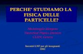Michelangelo Mangano Theoretical Physics Division CERN, Geneva PERCHE’ STUDIAMO LA FISICA DELLE PARTICELLE? Incontri LNF per gli insegnanti 2002.