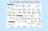 IL SISTEMA CARDIOCIRCOLATORIO. 1.La struttura e l’organizzazione del cuore 2.Il flusso ematico nel cuore 3.Il battito cardiaco 4.Il ciclo elettrico 5.Il.