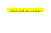 Diagnostica delle infezioni urinarie. supplementnews.org Le UTI si manifestano lungo tutto il tratto urinario. Le infezioni sono causate generalmete da.