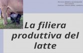 La filiera produttiva del latte Percorso didattico quarta/quinta ITIS Cartesio Indirizzo chimico-biotec. sanitario.