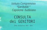 Istituto Comprensivo “Garibaldi “ Capolona -Subbiano CONSULTA dei GENITORI Anno Scolastico 2014 -2015.