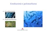 1 Ereditarietà e polimorfismo Ereditarietà Polimorfismo.
