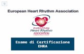 Esame di Certificazione EHRA Per favore, legga attentamente le istruzioni presentate in questo video introduttivo.