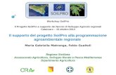 Workshop SoilPro Il Progetto SoilPro a supporto dei Servizi di Sviluppo Agricolo regionali Catanzaro – 15 ottobre 2014 Il supporto del progetto SoilPro.