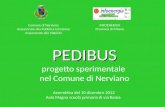 PEDIBUS PEDIBUS progetto sperimentale nel Comune di Nerviano Comune di Nerviano Assessorato alla Pubblica Istruzione Assessorato alla Viabilità Assemblea.