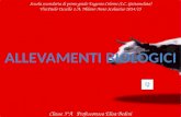 Scuola secondaria di primo grado Eugenio Colorni (I.C. Gattamelata) Via Paolo Uccello 1/A, Milano Anno Scolastico 2014/15 Classe 3°A Professoressa Elisa.
