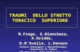 TRAUMI DELLO STRETTO TORACICO SUPERIORE M.Frego, G.Bianchera, A.Bridda, D.D’Avella, L.Denaro Clinica Chirurgica 3 Neurochirurgia, Università di Padova.