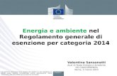 Energia e ambiente nel Regolamento generale di esenzione per categoria 2014 Valentina Sansonetti Aiuti di Stato Energia e Ambiente DG CONCORRENZA Roma,
