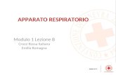 Modulo 1 Lezione B Croce Rossa Italiana Emilia Romagna APPARATO RESPIRATORIO.