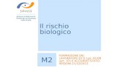 Il rischio biologico SiRVeSS Sistema di Riferimento Veneto per la Sicurezza nelle Scuole M2 FORMAZIONE DEI LAVORATORI EX D.Lgs. 81/08 (art. 37) E ACCORDO.