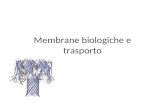Membrane biologiche e trasporto. Lipidi di membrana.