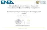 12 Dicembre 2011 Premio Fondazione Simone Cesaretti “Eccellenze della sostenibilità energetica” Produzione biologica di idrogeno: Bioenergia per il futuro.