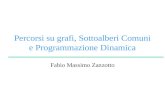Percorsi su grafi, Sottoalberi Comuni e Programmazione Dinamica Fabio Massimo Zanzotto.