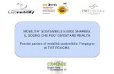 MOBILITA’ SOSTENIBILE E BIKE SHARING: IL SOGNO CHE PUO’ DIVENTARE REALTA Perché parlare di mobilità sostenibile: l’impegno di TMT PRAGMA.
