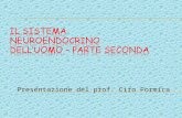 Presentazione del prof. Ciro Formica. 2 Origine nervi Assone pre- gangliare Post-gangliare neurotrasmettitori Reg. toracica e lombareVicino al SNC Lontano.