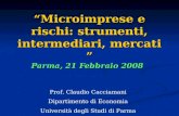 “Microimprese e rischi: strumenti, intermediari, mercati ” Parma, 21 Febbraio 2008 Prof. Claudio Cacciamani Dipartimento di Economia Università degli Studi.