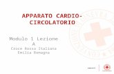 Modulo 1 Lezione A Croce Rossa Italiana Emilia Romagna APPARATO CARDIO-CIRCOLATORIO.