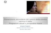 Antonio Federici Direzione Generale Prevenzione Ministero della Salute. Prevenzione secondaria del cancro della cervice uterina in Italia: Programmi attuali.