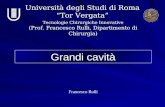 Università degli Studi di Roma “Tor Vergata” Tecnologie Chirurgiche Innovative (Prof. Francesco Rulli, Dipartimento di Chirurgia) Grandi cavità Francesco.