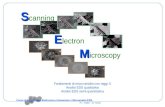 S S canning E E lectron M M icroscopy Fondamenti di micro-analisi con raggi X Analisi EDS qualitativa Analisi EDS semi-quantitativa Corso di Microscopia.