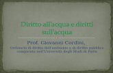 Prof. Giovanni Cordini, Ordinario di diritto dell’ambiente e di diritto pubblico comparato nell’Università degli Studi di Pavia.