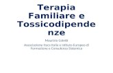 Terapia Familiare e Tossicodipendenz e Maurizio Coletti Associazione Itaca Italia e Istituto Europeo di Formazione e Consulenza Sistemica.