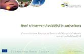 Beni e interventi pubblici in agricoltura Ver. 1.0 - gennaio 2011 Presentazione basata sul lavoro del Gruppo di lavoro tematico 3 della RESR.