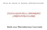 FISIOLOGIA DELL’APPARATO CARDIOVASCOLARE Corso di Laurea in Scienze Infermieristiche Dott.ssa Mariateresa Cacciola.