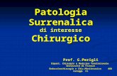 Patologia Surrenalica di interesse Chirurgico Prof. G.Perigli Dipart. Chirurgia e Medicina Traslazionale Università di Firenze Endocrinochirurgia e Chir.Miniinvasiva.
