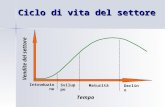 Ciclo di vita del settore Vendite del settore Tempo Sviluppo Declino Maturità Introduzione.